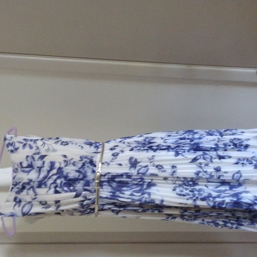 Beautiful Eliza J dress